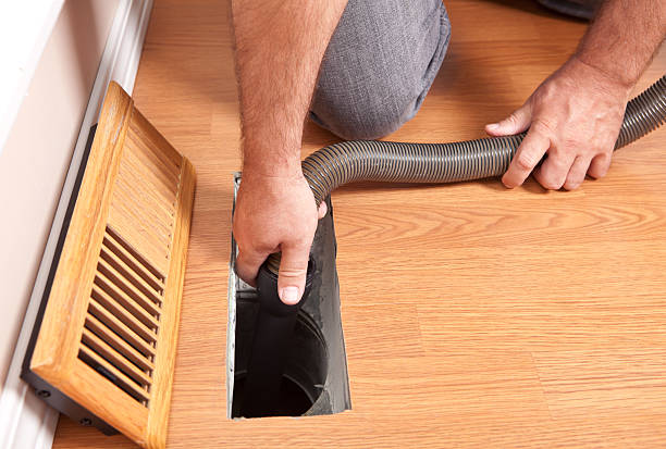 Air Duct Mold Removal in Mount Rainier, MD