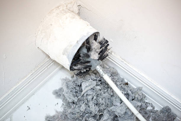 Best Best Air Duct Cleaning Company  in Mount Rainier, MD