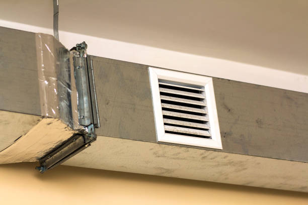 Best Air Duct Mold Removal  in Mount Rainier, MD
